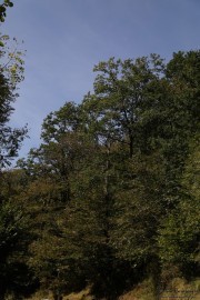 2017_10_san_roque_058