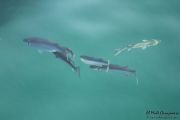 2014_09_blog_trip_noja_416