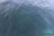 2014_09_blog_trip_noja_436