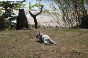 2014_09_blog_trip_noja_463