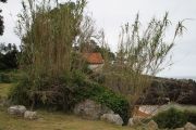 IMG_3890