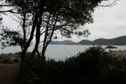 IMG_3907