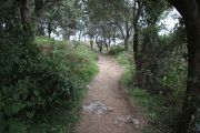 IMG_3918