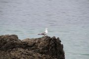 IMG_3936