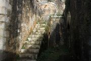 IMG_1408