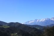 IMG_9209