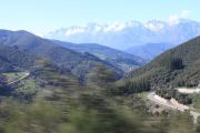 IMG_9210