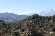 IMG_9215