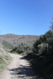 IMG_9224