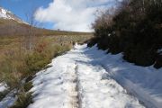 IMG_9250