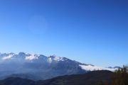 IMG_9272