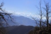 IMG_9273