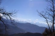IMG_9274