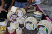 2024_08_queso_pesquera_0006
