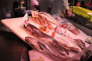 IMG_1456