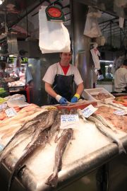 IMG_1558