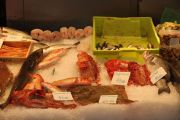 roca_plaza_001