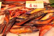 roca_plaza_007