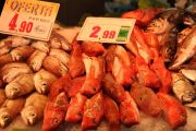 roca_plaza_008