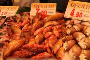 roca_plaza_009