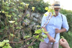 2018_08_matoblanco_033