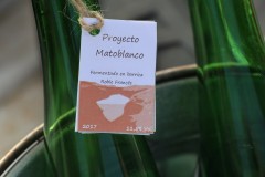 2018_08_matoblanco_069