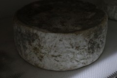 2020_07_axia_16_029