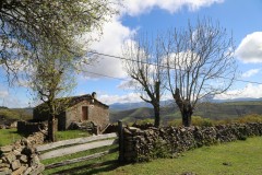 2019_05_queseria_tiemblos_007_mulecarajonero