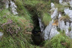 2019_09_andueo_corvera_005_mulecarajonero