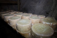 2019_09_andueo_corvera_017_mulecarajonero