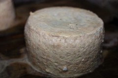 2019_09_andueo_corvera_025_mulecarajonero