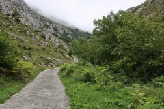 2019_09_nozaluca_corvera_001_mulecarajonero