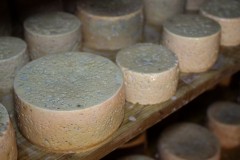2019_09_nozaluca_corvera_008_mulecarajonero