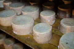 2019_09_nozaluca_corvera_011_mulecarajonero