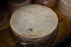 2019_09_nozaluca_corvera_015_mulecarajonero