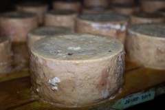 2019_09_nozaluca_corvera_016_mulecarajonero