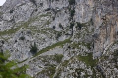 2019_09_nozaluca_corvera_024_mulecarajonero