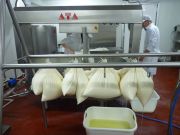 elaborando_sto_andre_020