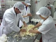 elaborando_sto_andre_025