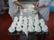 elaborando_sto_andre_026