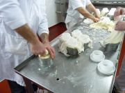 elaborando_sto_andre_028