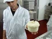 elaborando_sto_andre_030