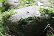 IMG_5820