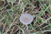 IMG_5833