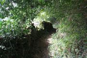 IMG_5860