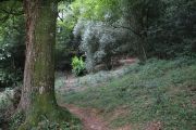 IMG_5868