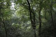 IMG_5874