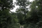 IMG_5879