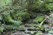 IMG_5888