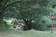 IMG_5926